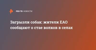 Загрызли собак: жители ЕАО сообщают о стае волков в селах - ren.tv - Еврейская обл.
