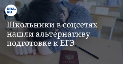 Школьники в соцсетях нашли альтернативу подготовке к ЕГЭ. «Может поступить на алкаша» - ura.news