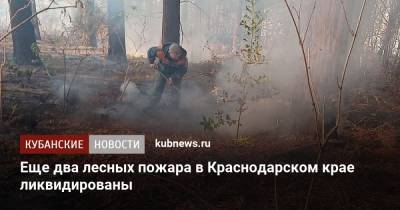 Алексей Копайгородский - Еще два лесных пожара в Краснодарском крае ликвидированы - kubnews.ru - Сочи - Краснодарский край - район Туапсинский