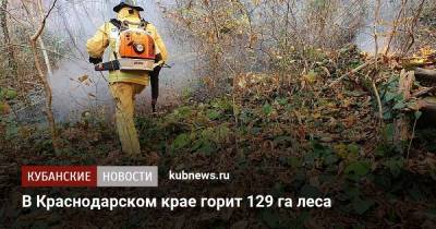 В Краснодарском крае горит 129 га леса - kubnews.ru - Сочи - Краснодарский край