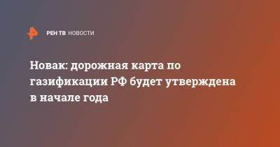 Александр Новак - Новак: дорожная карта по газификации РФ будет утверждена в начале года - ren.tv