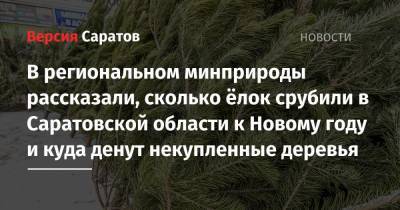 В региональном минприроды рассказали, сколько ёлок срубили в Саратовской области к Новому году и куда денут некупленные деревья - nversia.ru - Саратовская обл.