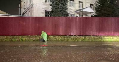 В Мукачево бабушка годами живет под открытым небом: в чем причина - tsn.ua