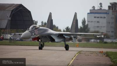 Су-35 назван лучшим в мире истребителем для завоевания господства в воздухе - newinform.com - США