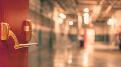 В Воронежской области от ковида умерли ещё 8 человек - vestivrn.ru - Воронежская обл.