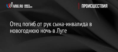 Отец погиб от рук сына-инвалида в новогоднюю ночь в Луге - ivbg.ru - Санкт-Петербург