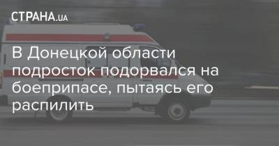 В Донецкой области подросток подорвался на боеприпасе, пытаясь его распилить - strana.ua - Донецкая обл.