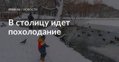 В столицу идет похолодание - mos.ru - Москва