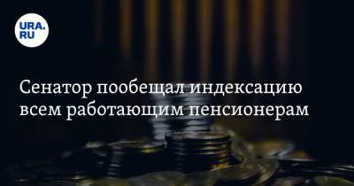 Владимир Путин - Валерий Рязанский - Сенатор пообещал индексацию всем работающим пенсионерам - ura.news