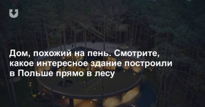 Дом, похожий на пень. Смотрите, какое интересное здание построили в Польше прямо в лесу - news.tut.by