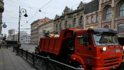 Пандемия в пять раз сократила объем мусора у главной елки на Дворцовой - dp.ru - Санкт-Петербург