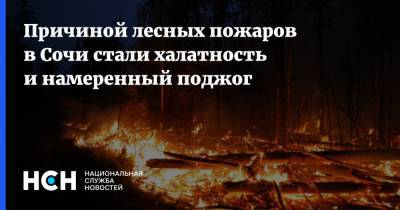 Причиной лесных пожаров в Сочи стали халатность и намеренный поджог - nsn.fm - Сочи - Краснодарский край - Кубань