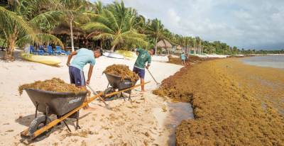 Израильская инновация спасет белоснежные пляжи Карибов от экологического бедствия и даст много прибыли - isroe.co.il - Иерусалим