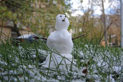В Белоруссии мужчину засудят за снеговика с усами - mk.ru - Белоруссия - район Гомельский