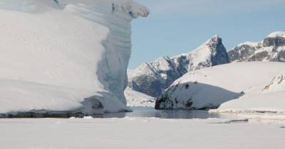 У станции "Академик Вернадский" откололся 20-метровый ледник - tsn.ua - Антарктида - станция Академик Вернадский