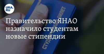 Дмитрий Артюхов - Правительство ЯНАО назначило студентам новые стипендии - ura.news - окр. Янао