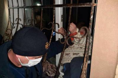 В Днепропетровской области женщина залезла в оконную решетку и не смогла выбраться: на помощь пришли спасатели (фото) - newsone.ua - Днепропетровская обл. - Покров