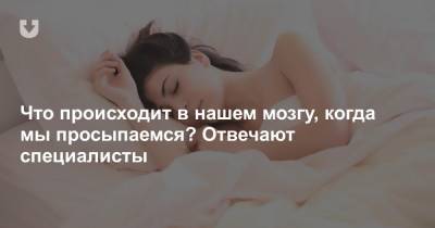 Что происходит в нашем мозгу, когда мы просыпаемся? Отвечают специалисты - news.tut.by