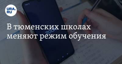 Александр Моор - В тюменских школах меняют режим обучения - ura.news - Тюмень - Тюменская обл. - Тобольск - окр. Янао - Ялуторовск - Заводоуковск
