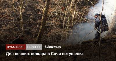 Два лесных пожара в Сочи потушены - kubnews.ru - Сочи
