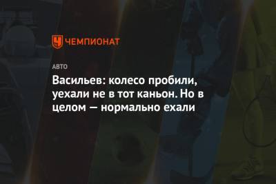 Владимир Васильев - Васильев: колесо пробили, уехали не в тот каньон. Но в целом — нормально ехали - championat.com