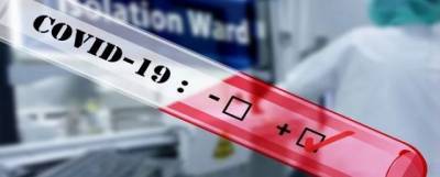 Новые случаи ковида выявили на 13 территориях Смоленской области - runews24.ru - Смоленск - Смоленская обл.