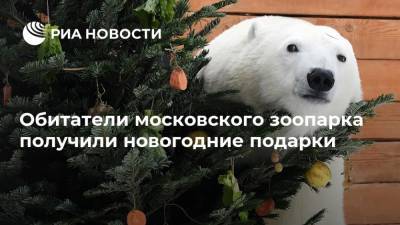Дед Мороз - Обитатели московского зоопарка получили новогодние подарки - ria.ru - Москва