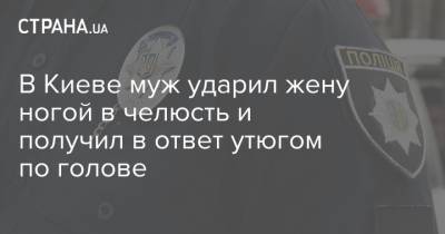 В Киеве муж ударил жену ногой в челюсть и получил в ответ утюгом по голове - strana.ua - Киев