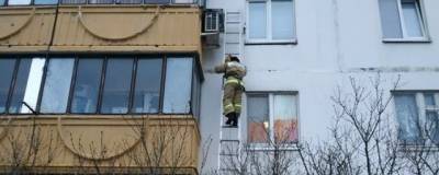 Белгородские спасатели вытащили из колодца собаку и сняли с балкона кота - runews24.ru - Белгородская обл.