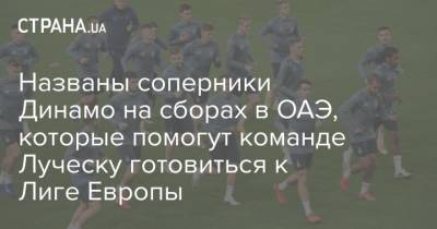 Мирча Луческ - Названы соперники Динамо на сборах в ОАЭ, которые помогут команде Луческу готовиться к Лиге Европы - strana.ua - Киев - Белоруссия - Эмираты - Варшава - Луческ