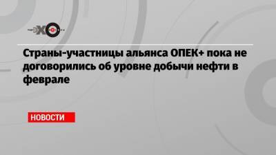 Александр Новак - Страны-участницы альянса ОПЕК+ пока не договорились об уровне добычи нефти в феврале - echo.msk.ru - Москва