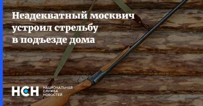 Неадекватный москвич устроил стрельбу в подъезде дома - nsn.fm - Москва