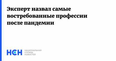 Эксперт назвал самые востребованные профессии после пандемии - nsn.fm