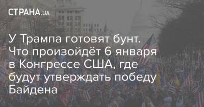 Дональд Трамп - Джо Байден - У Трампа готовят бунт. Что произойдёт 6 января в Конгрессе США, где будут утверждать победу Байдена - strana.ua - США