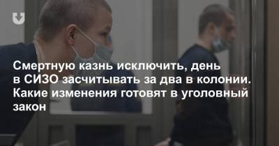 Смертную казнь исключить, день в СИЗО засчитывать за два в колонии. Какие изменения готовят в уголовный закон - news.tut.by - Белоруссия