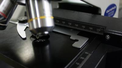 Смертность до 90%: первооткрыватель Эболы предупредил о новой опасной болезни - grodnonews.by