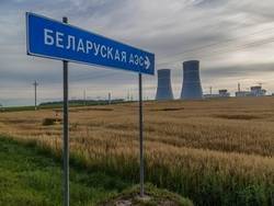 Виктор Пинчук - Украина начала покупку электроэнергии в Беларуси. Зеленский спасет БелАЭС? - newsland.com - Россия - Украина - Белоруссия