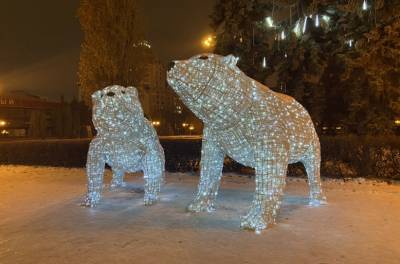 В Липецке вандалы снова повредили инсталляцию «Полярные медведи» - 7info.ru - Липецк
