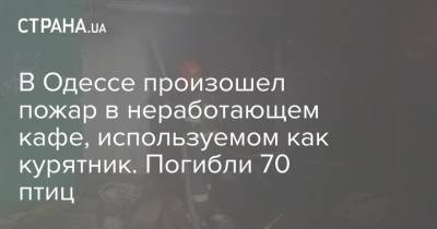 В Одессе произошел пожар в неработающем кафе, используемом как курятник. Погибли 70 птиц - strana.ua - Киев - Одесса - район Суворовский, Одесса - Новости Одессы