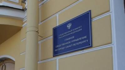СК возбудил уголовное дело после убийства женщины в квартире на проспекте Просвещения - piter.tv - Санкт-Петербург - р-н Выборгский