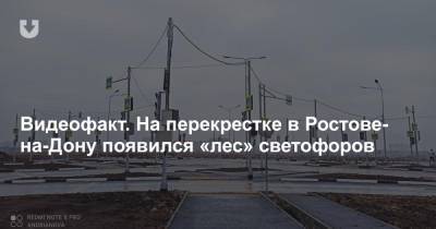 Видеофакт. На перекрестке в Ростове-на-Дону появился «лес» светофоров - news.tut.by - Россия - Ростов-На-Дону