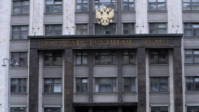 Михаил Шеремет - В Госдуме назвали безумным обещание Киева устроить России «Афганистан» - iz.ru - Киев - Афганистан