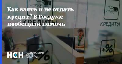 Максим Сурайкин - Как взять и не отдать кредит? В Госдуме пообещали помочь - nsn.fm