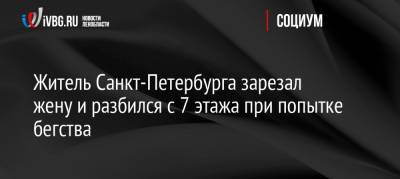 Житель Санкт-Петербурга зарезал жену и разбился с 7 этажа при попытке бегства - ivbg.ru - Россия - Санкт-Петербург