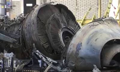Владимир Цемах - Нидерландский посол в Киеве заявил о недоумении выдачей Украиной в ЛДНР «свидетеля по делу MH17» - topwar.ru - Киев - Голландия