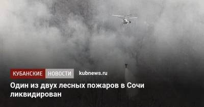 Один из двух лесных пожаров в Сочи ликвидирован - kubnews.ru - Сочи