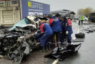 Спасатели деблокировали пострадавшего водителя после аварии в Лужском районе - online47.ru - Ленинградская обл. - район Лужский