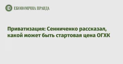 Приватизация: Сенниченко рассказал, какой может быть стартовая цена ОГХК - epravda.com.ua