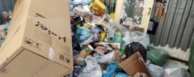Для уборки мусора с новосибирских дворов задействовали дополнительную спецтехнику - runews24.ru - Новосибирск - Новосибирская обл.