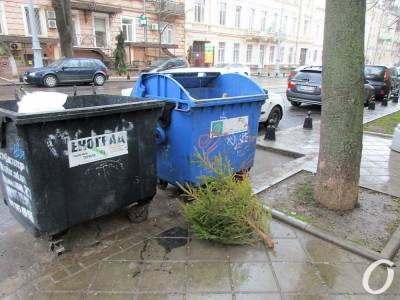 В Одессе уже стали появляться елки у мусорных контейнеров (фотофакт) - odessa-life.od.ua - Украина - Одесса